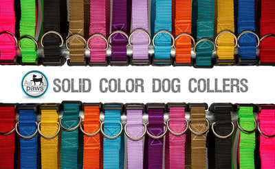 Solid Color Dog Collars - Aw Paws
