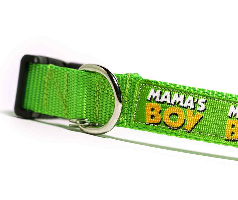 Mama's boy sale dog collar