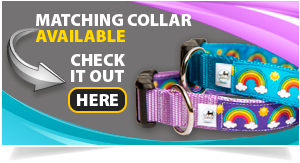 rainbow-dog-collar