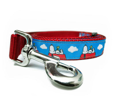 Dog Leashes - Aw Paws