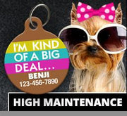 High Maintenance Pet ID Tags - Aw Paws
