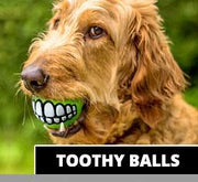 Toothy Ball - Aw Paws
