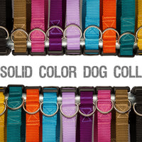 Solid Colored Dog Collars - Aw Paws