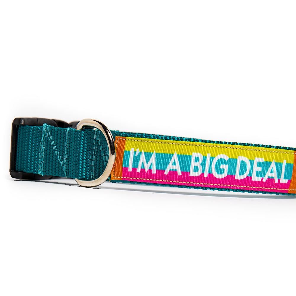 I'm A Big Deal Dog Collar