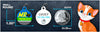 Mr Princess Cat ID Tag