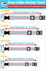 Dog Collar Chart