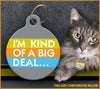 Kind of a Big Deal Cat ID Tag