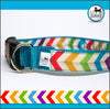 Chevron Rainbow Dog Collar - Aw Paws