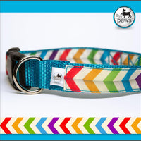 Chevron Rainbow Dog Collar - Aw Paws