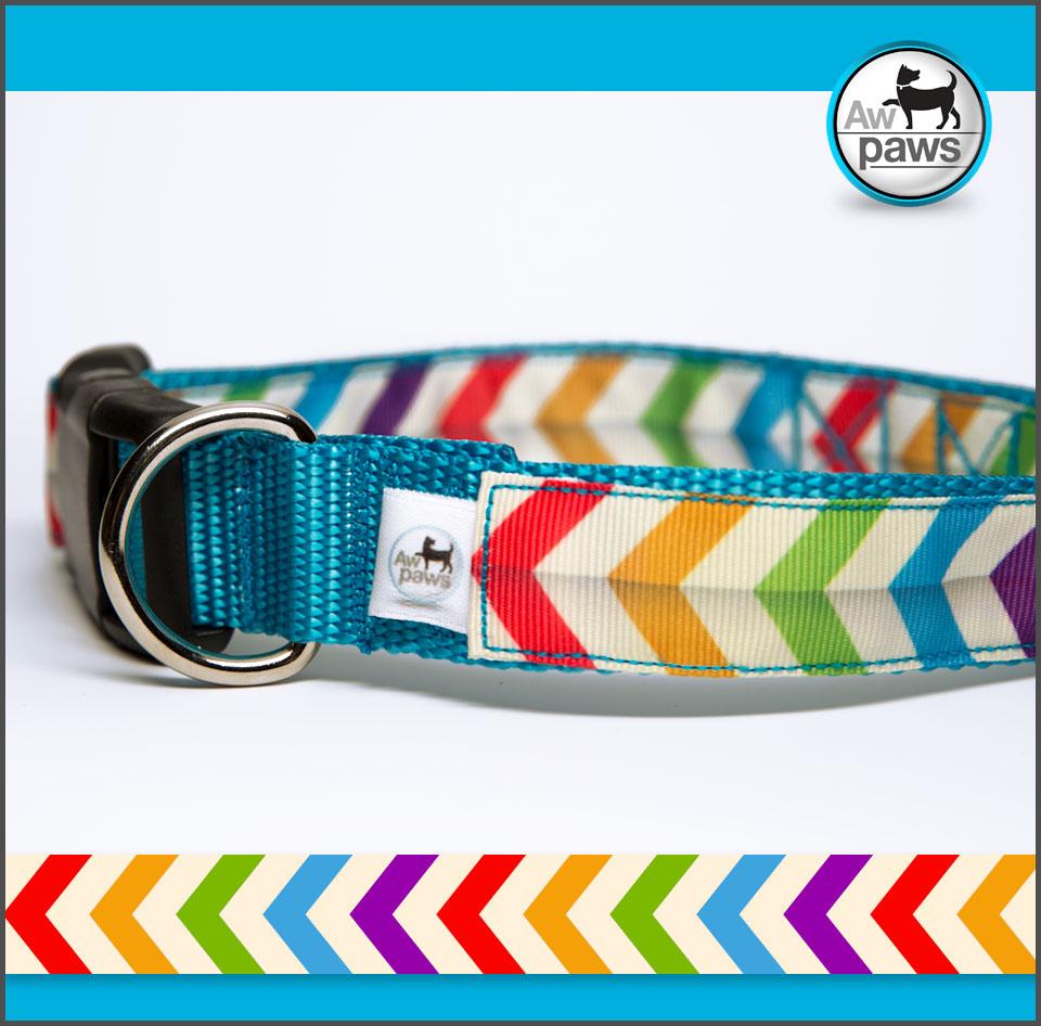 Chevron Rainbow Dog Collar - Aw Paws