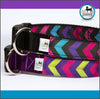 Chevron 1 - Dog Collar - Aw Paws