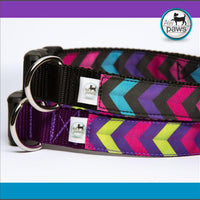 Chevron 1 - Dog Collar - Aw Paws