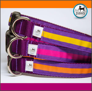 Stripes Purples Dog Collar - Aw Paws