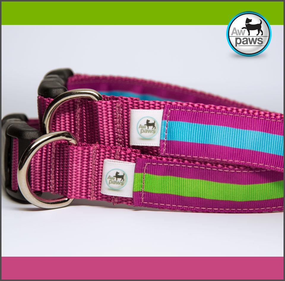 Stripes Rose Dog Collar - Aw Paws