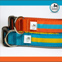 Stripes 1 Dog Collar - Aw Paws