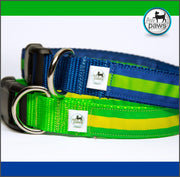 Stripes 2 Dog Collar - Aw Paws