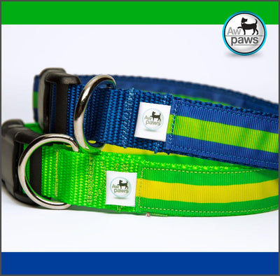 Stripes 2 Dog Collar - Aw Paws