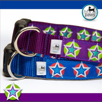 Stars 1 Dog Collar - Aw Paws