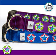 Stars 1 Dog Collar - Aw Paws