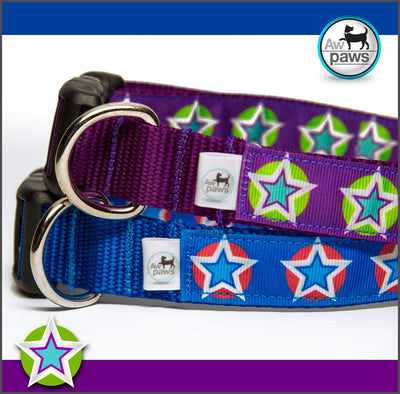 Stars 1 Dog Collar - Aw Paws