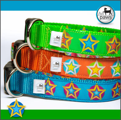 Stars 2 Dog Collar - Aw Paws