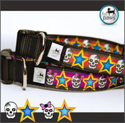 Skulls and Stars Dog Collar - Aw Paws