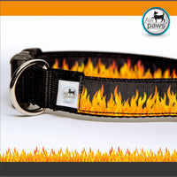 Fire Dog Collar - Aw Paws