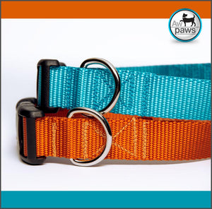 Orange and blue dog collar top