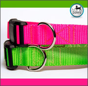 Lime or Hot Pink Dog Collar