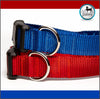 Red or Royal Blue Dog Collar