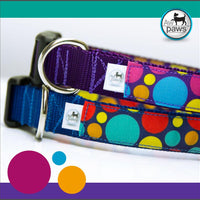 POLKA DOTS Dog Collar - Aw Paws