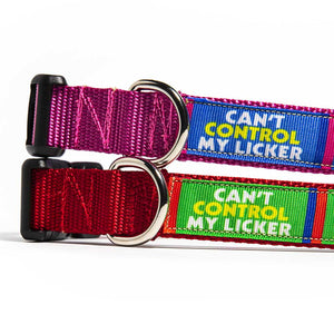 Can't Control My Licker Dog Collar