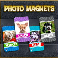 Photo Pet Magnet - Aw Paws