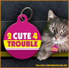 cat id tag