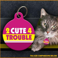 cat id tag