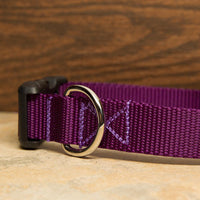 Solid Colored Dog Collars - Aw Paws