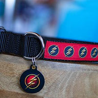Matching Flash Dog Collar & ID Tags