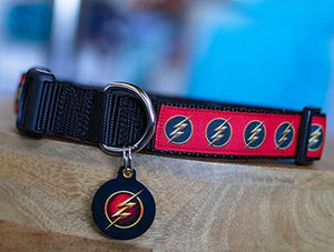 Matching Flash Dog Collar & ID Tags