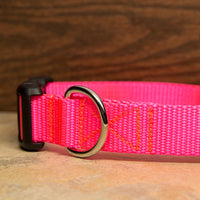 Hot Pink Dog Collar