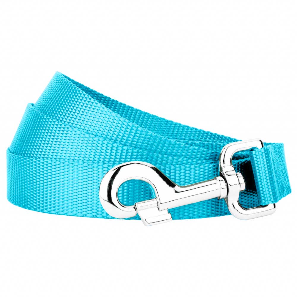 Ice Blue Dog Leash