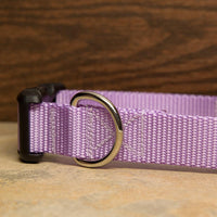 Solid Colored Dog Collars - Aw Paws