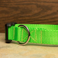 Solid Colored Dog Collars - Aw Paws