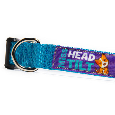 Miss Head Tilt Dog Collar