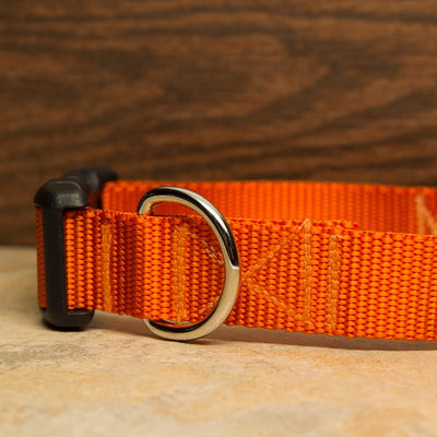 Orange Dog Collar