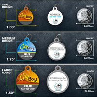 City Boy Pet ID Tag - Aw Paws