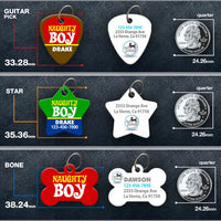 Naughty Boy Pet ID Tag
