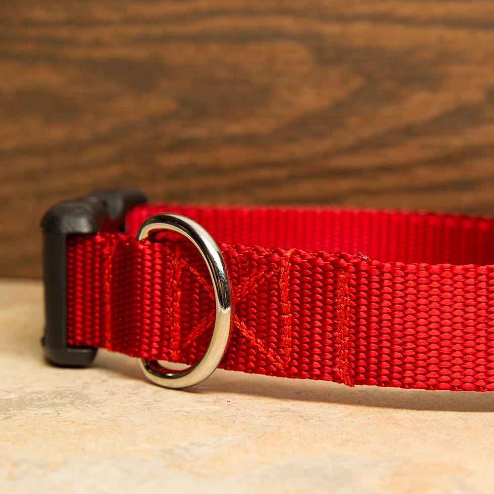 Red Dog Collar Aw Paws