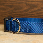 Royal Blue Dog Collar