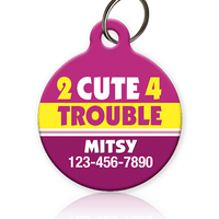 pet id tag