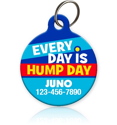 Everyday is Hump Day Pet ID Tag - Aw Paws